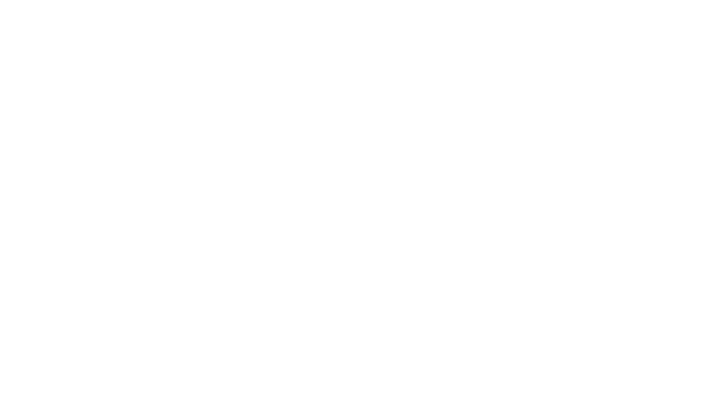 Wise+Hype X Joy Organics